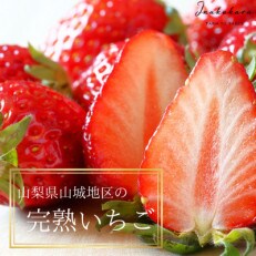 2023年1月中旬より順次発送予定!Inakakaraの「山城の完熟いちご」12粒～15粒 | ふるさと納税のお礼品
