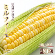 2023年6月より順次発送予定!【山梨県甲府市産】Inakakaraのミルフィーユ20本 | ふるさと納税のお礼品