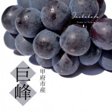 【山梨県甲府市産】Inakakaraの種無し「巨峰」3房 | ふるさと納税のお礼品