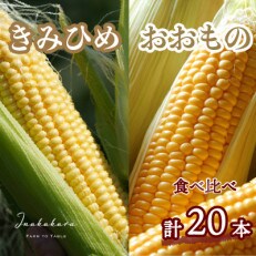 2023年6月より順次発送予定!Inakakaraの「きみひめ」&「おおもの」計20本入 | ふるさと納税のお礼品