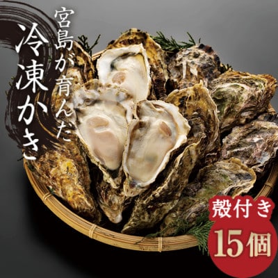 宮島が育んだ冷凍牡蠣(殻付き)15ヶ入