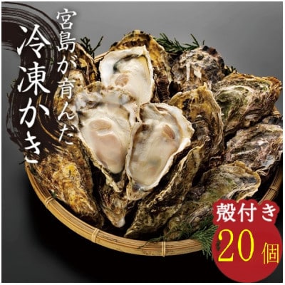 宮島が育んだ冷凍牡蠣(殻付き)20ヶ入