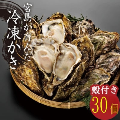 宮島が育んだ冷凍牡蠣(殻付き)30ヶ入
