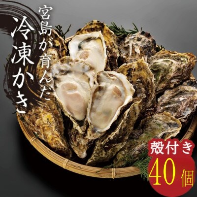 宮島が育んだ冷凍牡蠣(殻付き)40ヶ入