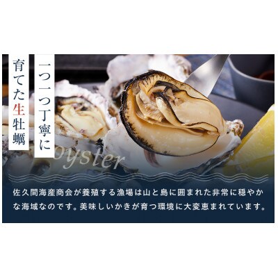 宮島が育んだ冷凍牡蠣(殻付き)40ヶ入