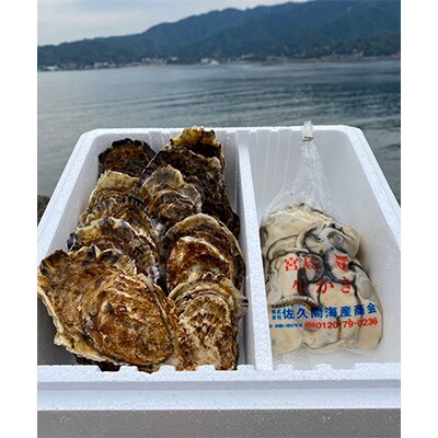 広島牡蠣食べ比べセット【複数個口で配送】