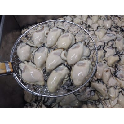 地御前産 冷凍牡蠣むき身 加熱用約900g(Lサイズ35粒前後)