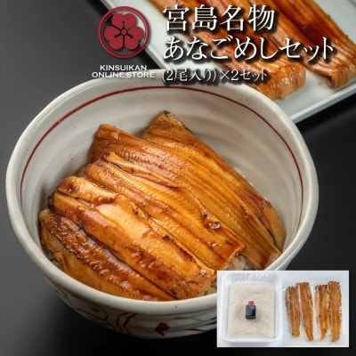 あなごめしセット《2尾入り》×2セット(桑田米2合・秘伝のタレ付)