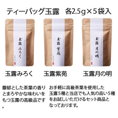 広島千茶荘人気の煎茶/玉露ティーバッグお試し10種セット