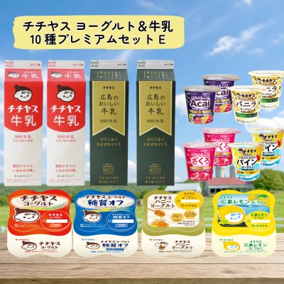 チチヤス ヨーグルト&牛乳 10種プレミアムセット E
