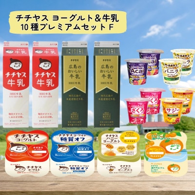 チチヤス ヨーグルト&牛乳 10種プレミアムセット F
