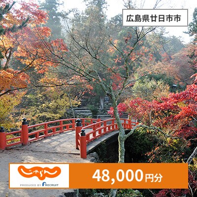【じゃらんふるさと納税クーポン】 広島県廿日市市でつかえる48,000円 クーポン