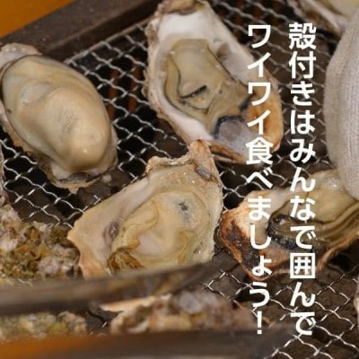島田水産 広島県産 冷凍 殻付き牡蠣(加熱用) 15個