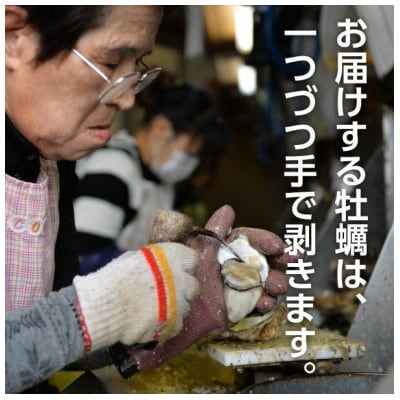 島田水産 広島県産生かき 殻付き牡蠣(加熱用) 20個