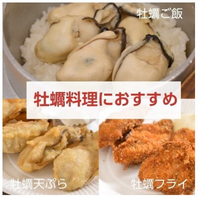 島田水産 広島県産生かき むき身牡蠣(加熱用) 500g×3パック 計1.5kg