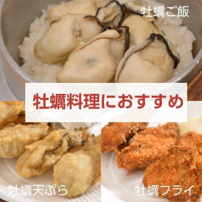 島田水産 広島県産 大粒2L(29g以上)サイズ 冷凍 むき身牡蠣(加熱用) 1kg