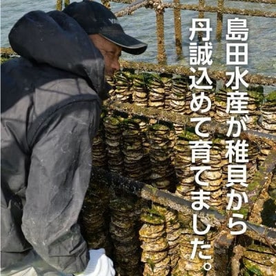 島田水産 広島県産 大粒 2L(29g以上)サイズ 冷凍 むき身牡蠣(加熱用) 2kg