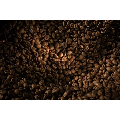 YOUMECAスペシャルティコーヒーギフトYMC-6(粉)