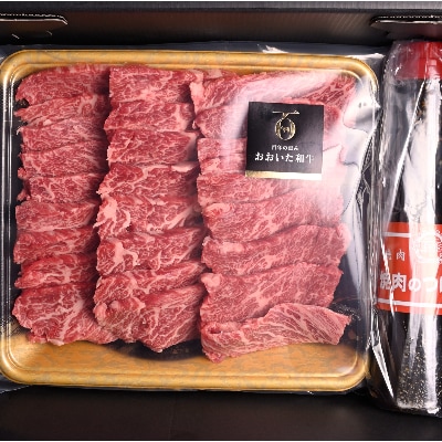 おおいた和牛カルビ焼き肉セット【500g】つけダレ付　別府市