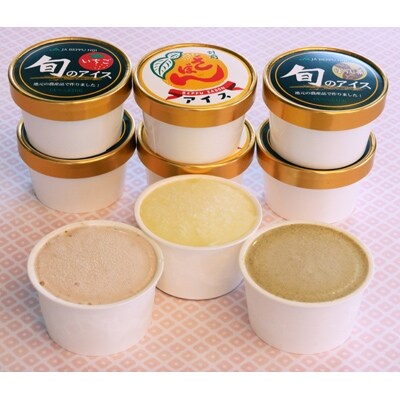 地元特産品アイス3種　12個セット