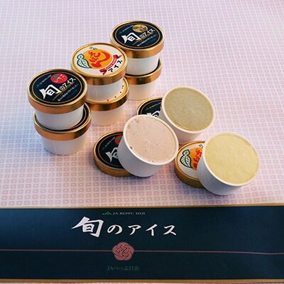 地元特産品アイス3種　9個セット