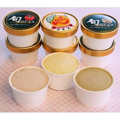 地元特産品アイス3種　9個セット