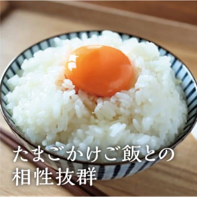 日本山人参　燻製醤油