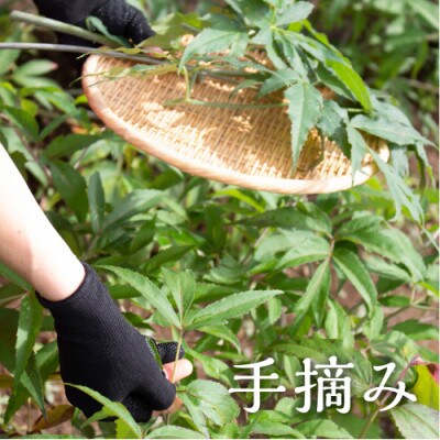 神の山参茶