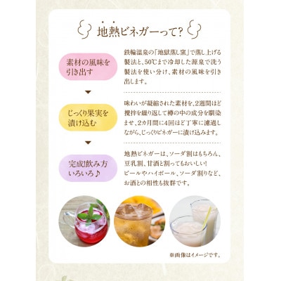 地熱ビネガー レギュラーボトル3種セット (桃薫いちご・黄金かぼす・梅と紫蘇)
