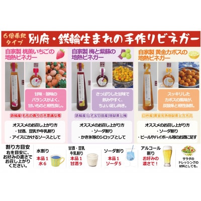 地熱ビネガー レギュラーボトル3種セット (桃薫いちご・黄金かぼす・梅と紫蘇)