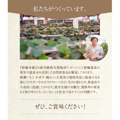 地熱ビネガー レギュラーボトル3種セット (桃薫いちご・黄金かぼす・梅と紫蘇)