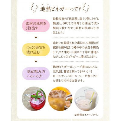 温泉うめぼし3箱&梅と紫蘇の地熱ビネガーミニボトルセット