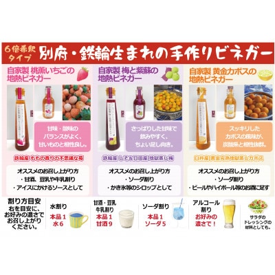 地熱ビネガーミニボトル3種セット(桃薫いちご・黄金かぼす・梅と紫蘇)