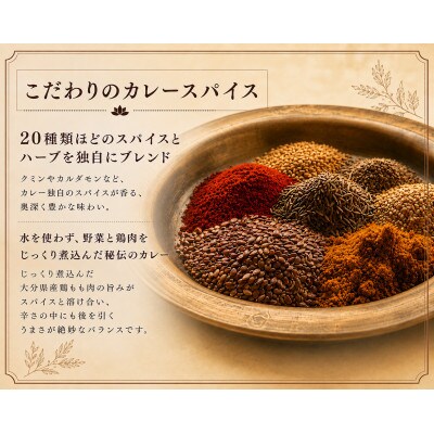 日本上陸!【おうちで本格ベトナム料理】サッチャムチキンカレー(3食セット)