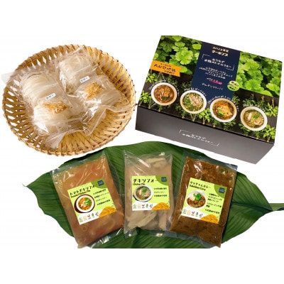 【本格ベトナム料理】3種類セット:チキンフォーとトマトチキンフォーとサッチャムチキンカレー(3食分)