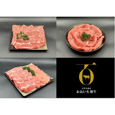 2022年11月発送開始『定期便』B【ホテルクオリティ】おおいた和牛、大分県産豚食べつくし全6回