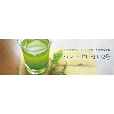一番茶摘み緑茶ハレーすいせい2号 小 100g入2袋セット