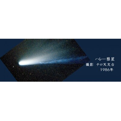 BEPPU OCHARD(ベップ  オチャード)緑茶ハレーすいせい 6袋セット