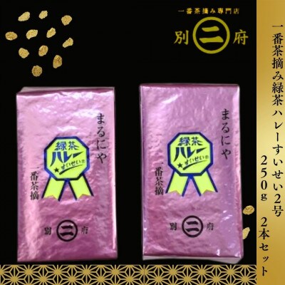 一番茶摘み緑茶ハレーすいせい2号(250g×2本セット)
