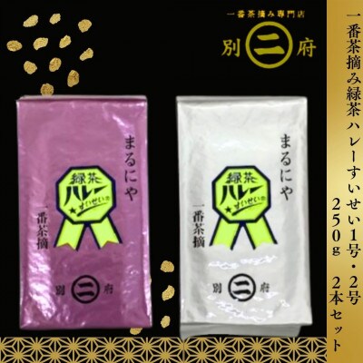 一番茶摘み緑茶ハレーすいせい1号・2号(250g×2本セット)