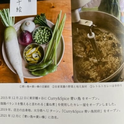別府の温泉水で作ったヒオウギ貝の重ね煮カレー　1個