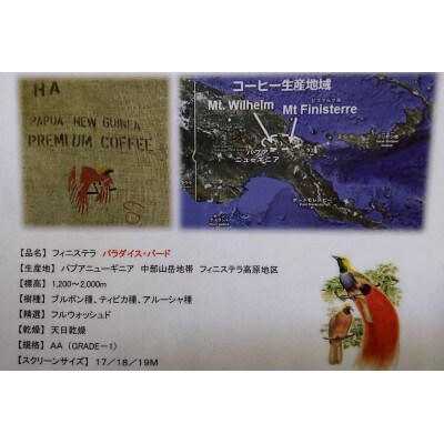 ツインスターシード極楽コーヒー豆