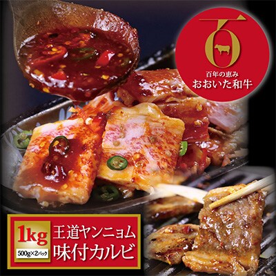 おおいた和牛 ヤンニョム味付カルビ・生ハンバーグセット