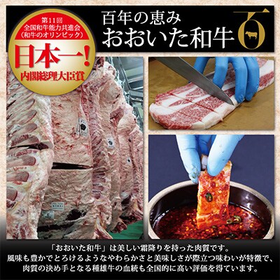 おおいた和牛 ヤンニョム味付カルビ・生ハンバーグセット