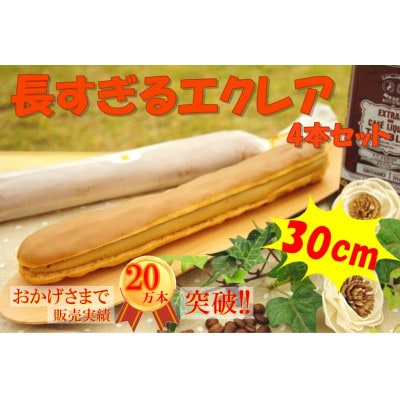 長すぎるエクレア　30cm×4本セット