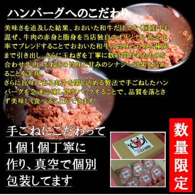 【冷凍】おおいた和牛入ハンバーグ160g×6個(960g)別府バル肉は別腹