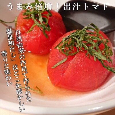 【毎月定期便】【別府温泉水で作った和出汁】10年かけて開発した温泉和だし 150ml×2パック全6回