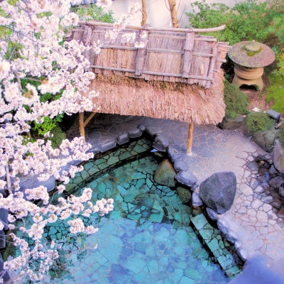 湯村温泉 朝野家 和室(10畳) 一泊二食付宿泊券(2名様ペア・平日限定)