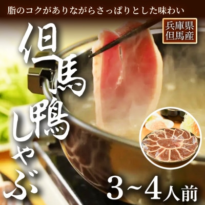 「但馬鴨」しゃぶしゃぶセット(小)3～4人前