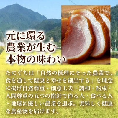 「但馬鴨」しゃぶしゃぶセット(小)3～4人前